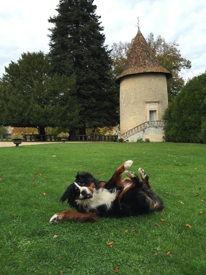Chateau De Maumont